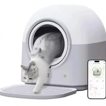 Top Rated Self-Cleaning Litter Box: What to Choose